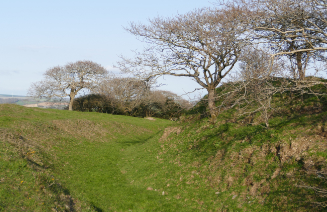 Castle Dore Moat